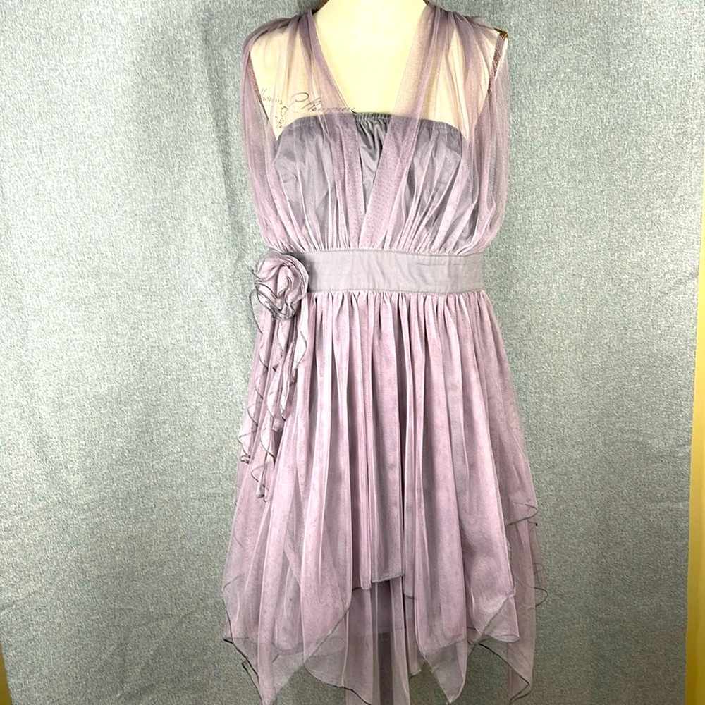 Ryu  Woman’s lavender midi dress size large NWT 66